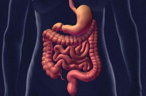 3_claves_para_tener_un_intestino_saludable