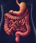 3_claves_para_tener_un_intestino_saludable