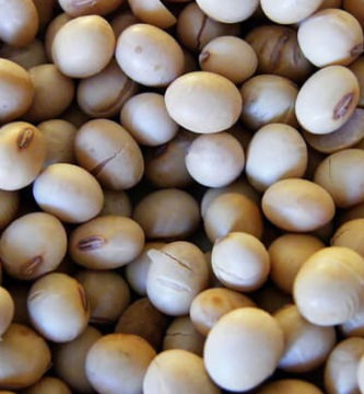 5_razones_para_evitar_la_soja-1