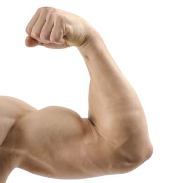 entrenar_que_le_pasa_a_tu_cuerpo_al_hacer_ejercicio