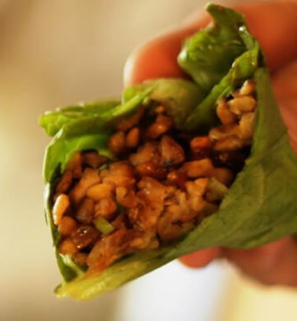 plan_vegetariano_parte_1