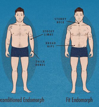 cuerpo-endomorfo-dieta-para-endomorfos-somatotipo