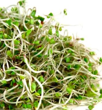 sulforafano-brotes-de-brocoli