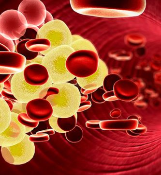 que-es-el-colesterol