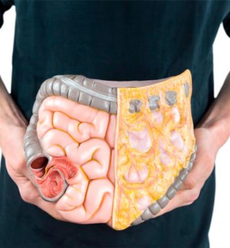 10-superalimentos-para-mejorar-la-digestion