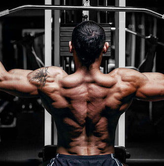 mejores ejercicios para espalda dominada