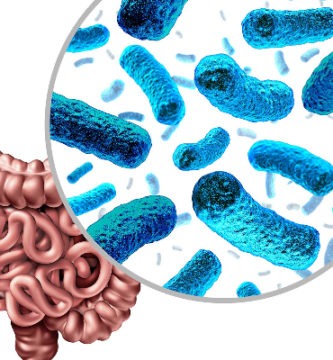 Cómo mejorar la microbiota