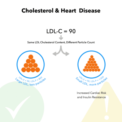 Relación entre la dieta cetogénica y el colesterol LDL por tamaño de la lipoproteína